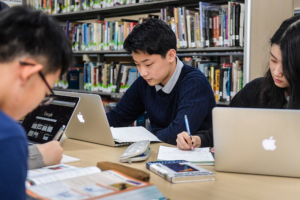 jasa pembuatan website lpk dan aplikasi ubt korea 2024